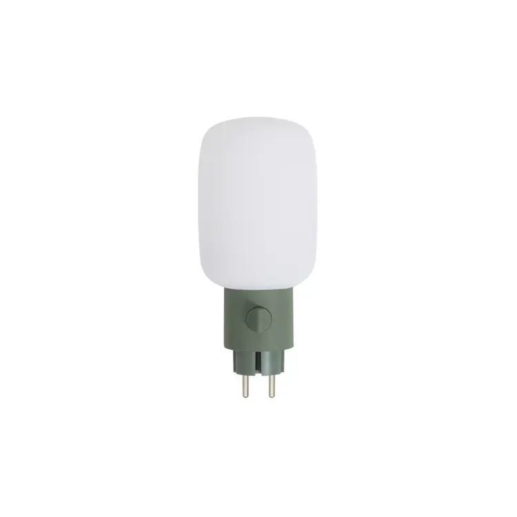 Plug