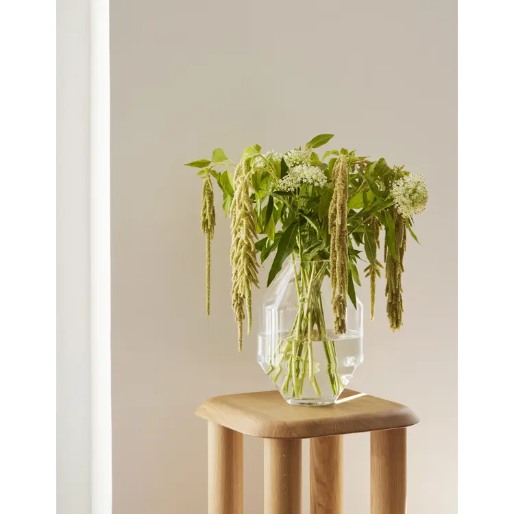 Hydro Glass Vase