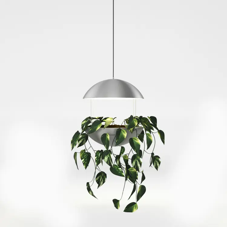 CADOVIUS FLOWER LAMP®