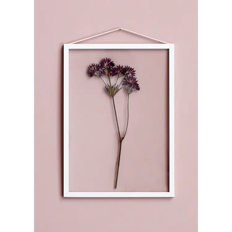 Frame, Smoked Oak, A5 (FSC 100%)