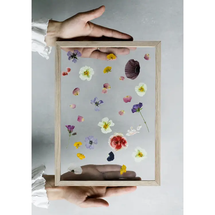 Frame, Smoked Oak, A5 (FSC 100%)