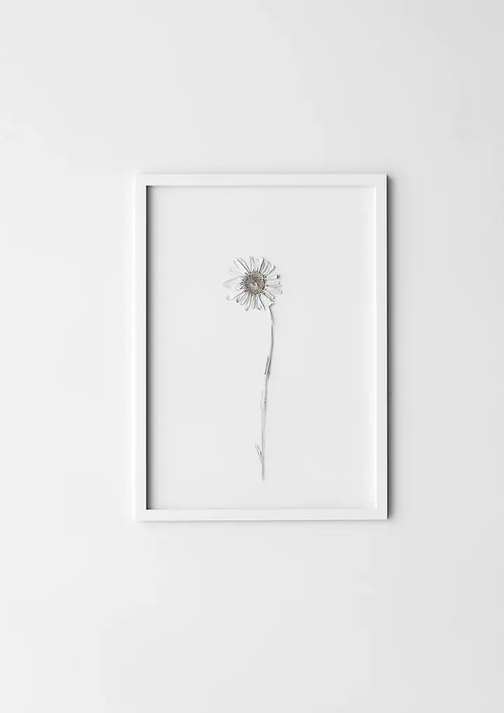 Frame, Smoked Oak, A5 (FSC 100%)