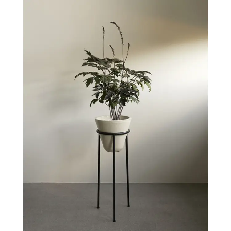 Daiza Planter
