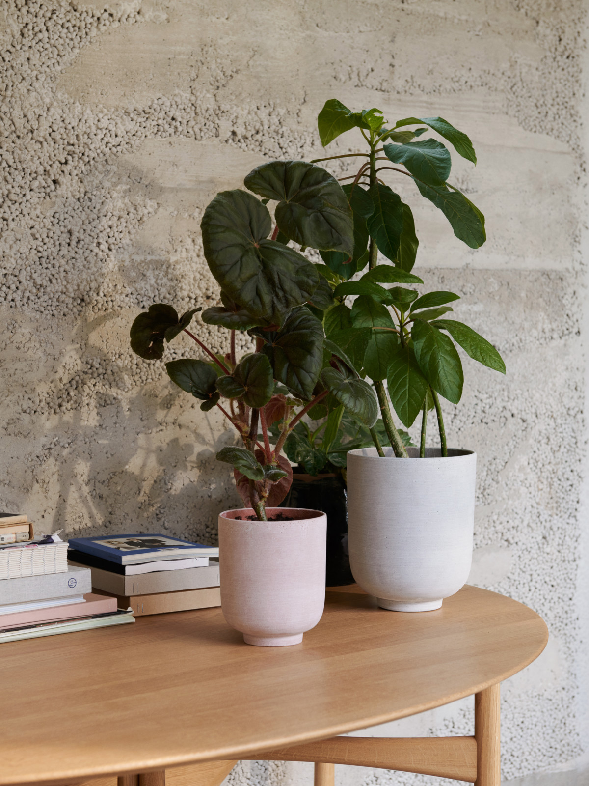 Collect Pflanzentopf