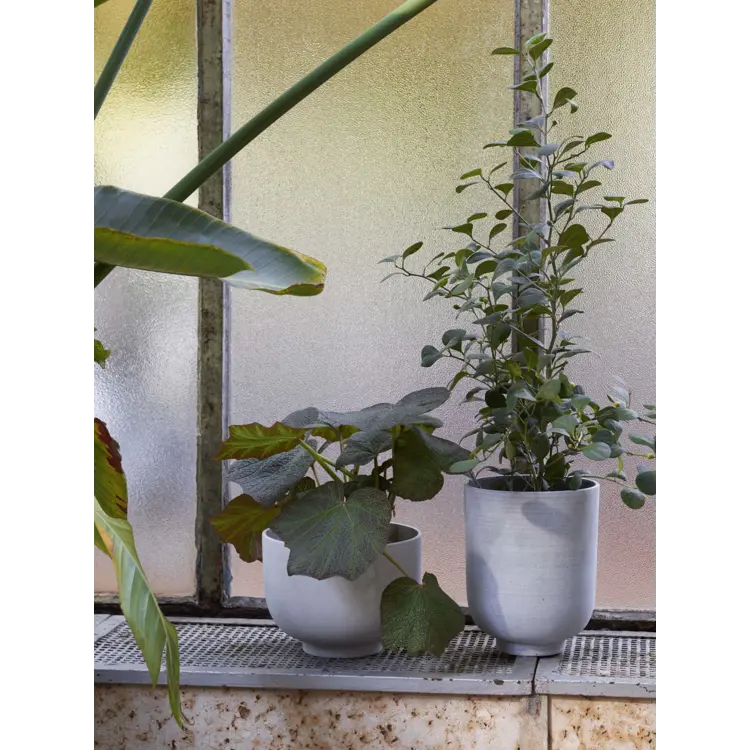 Collect Pflanzentopf