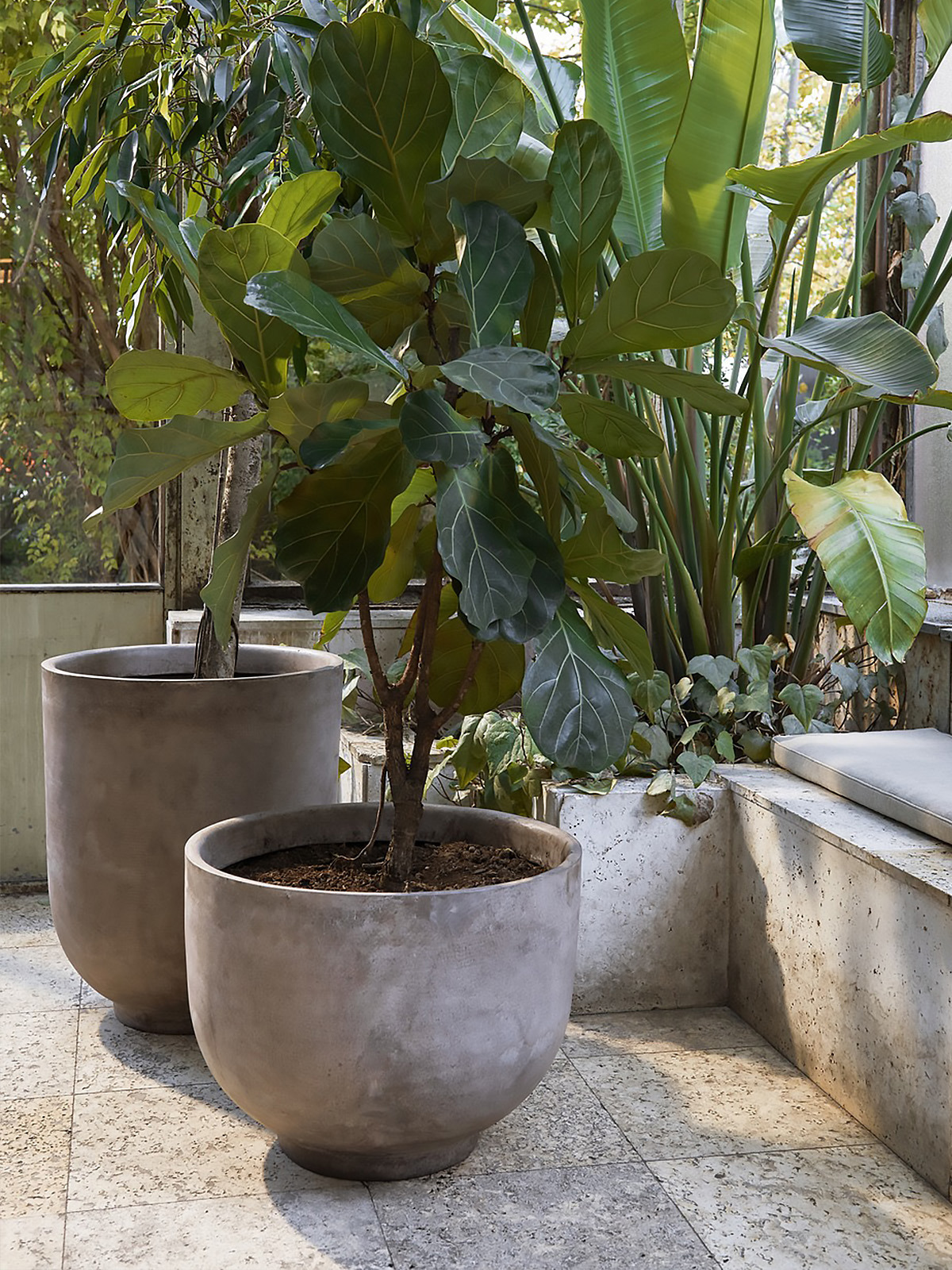 Collect Pflanzentopf