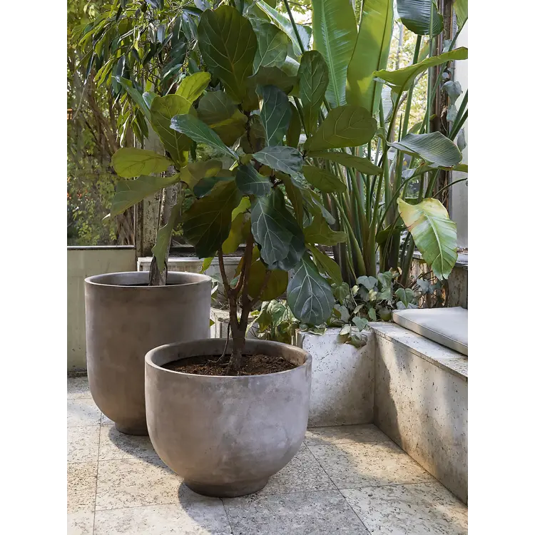 Collect Pflanzentopf