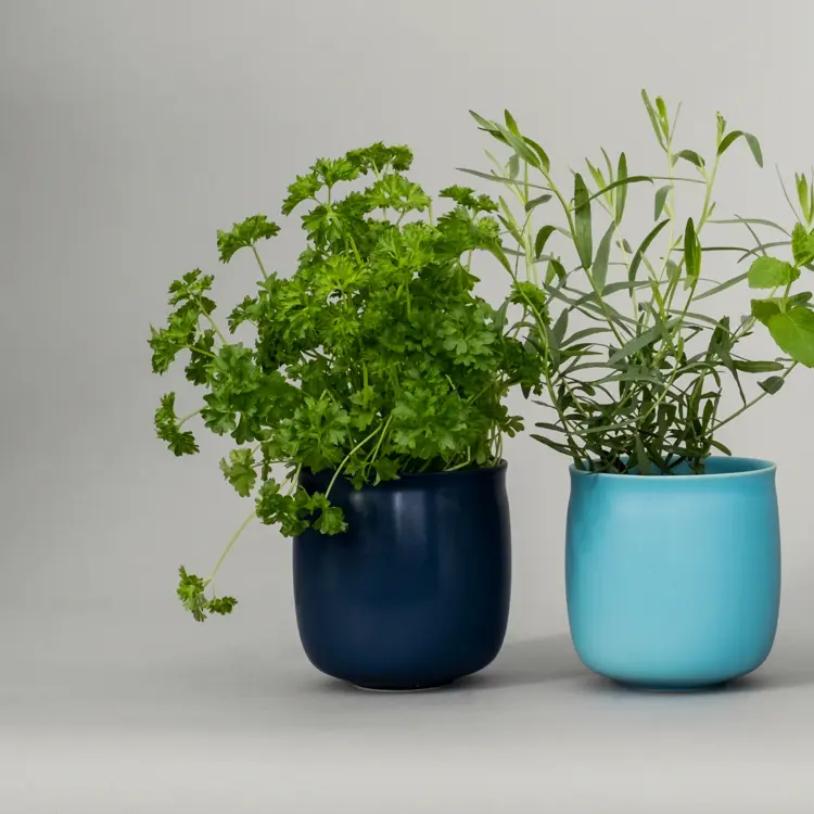 Alev Vase