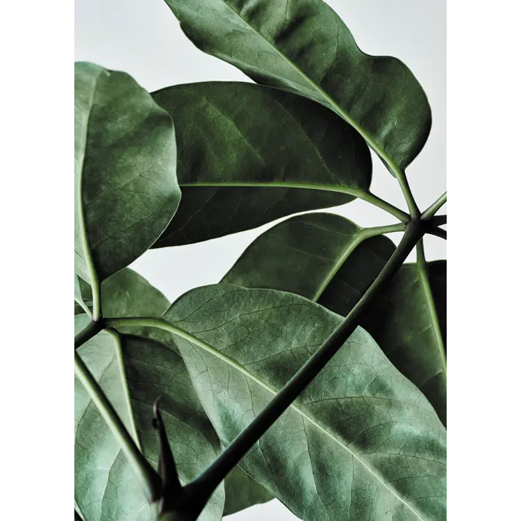 Green Home 01