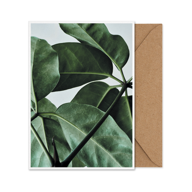 Green Home 01